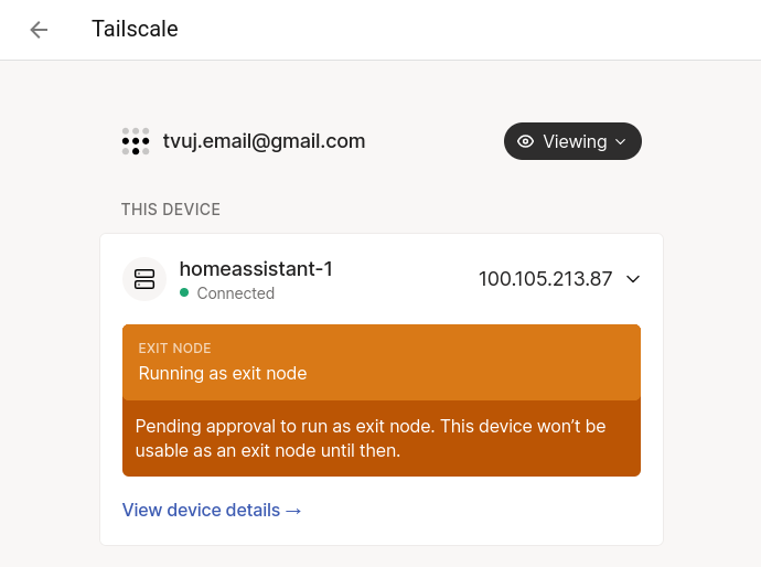 Webové rozhraní správně nastaveného doplňku Tailscale